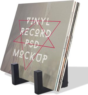 EGMEHOAD Vinyl Record Storage, Record Holder, Album Storage for Vinyl Records, Lp Storage Wood