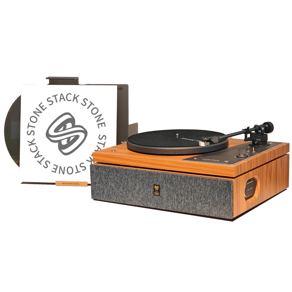 Savage The one Record Player, High Fidelity Vinyl Record Player with ...